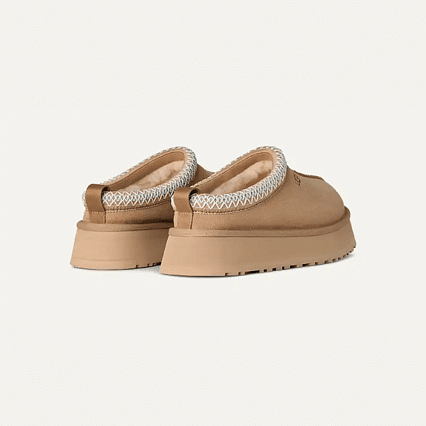 ����� ������ �������� TAZZ II ���� ����� � ����� UGG