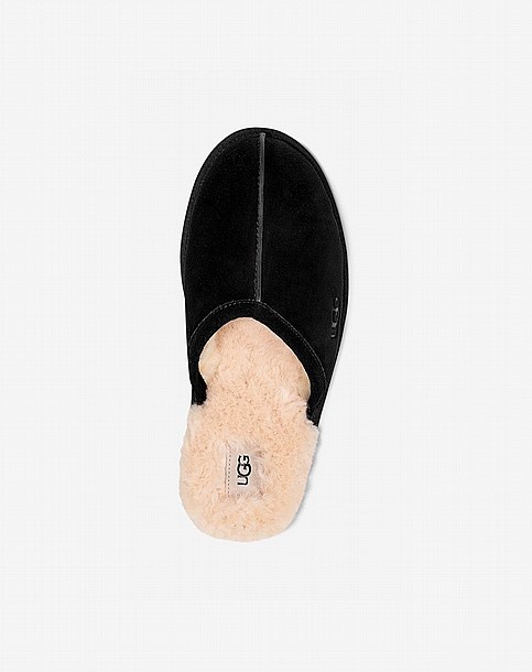 UGG SCUFFETTE II SLIPPER -  ������ ������� ���� ��� ����  