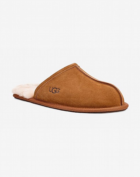 UGG SCUFFETTE II SLIPPER -  ������ ������� ���� ��� ���