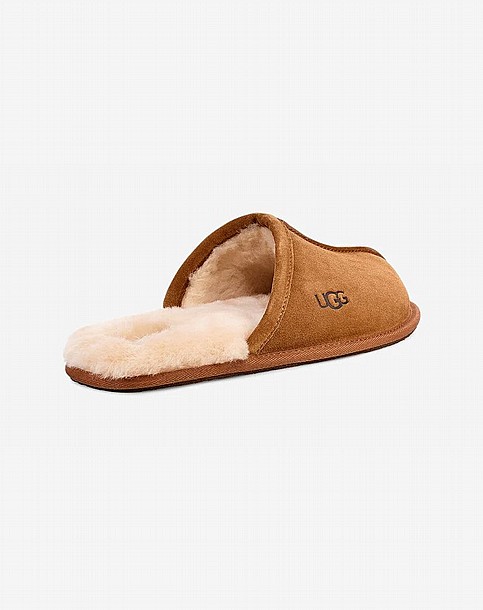 UGG SCUFFETTE II SLIPPER -  ������ ������� ���� ��� ���