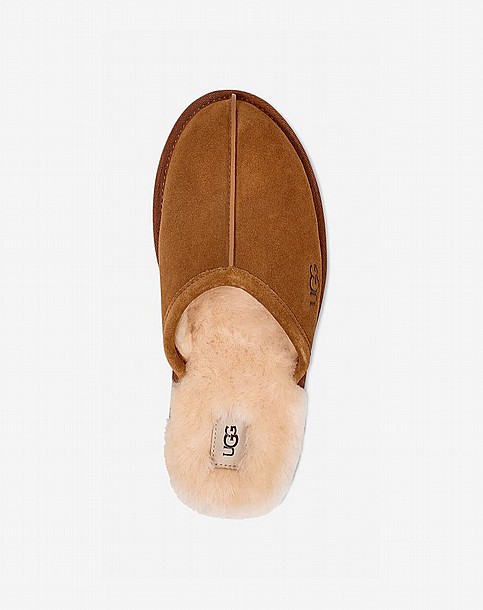 UGG SCUFFETTE II SLIPPER -  ������ ������� ���� ��� ���