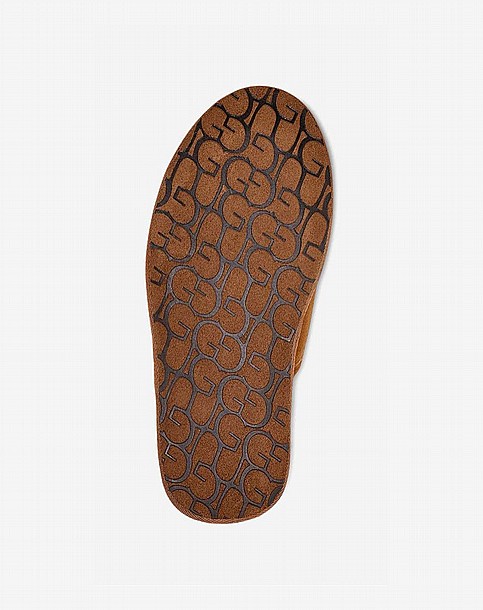 UGG SCUFFETTE II SLIPPER -  ������ ������� ���� ��� ���