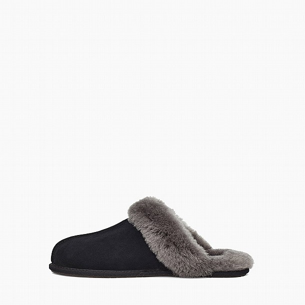 UGG SCUFFETTE II SLIPPER -  ������ ������� ����� ����  