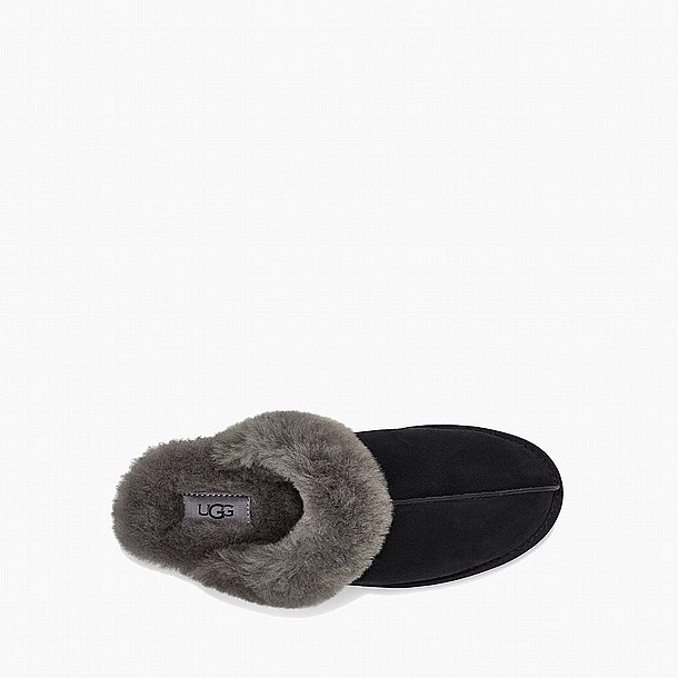 UGG SCUFFETTE II SLIPPER -  ������ ������� ����� ����  