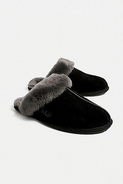 UGG SCUFFETTE II SLIPPER -  ������ ������� ����� ����  