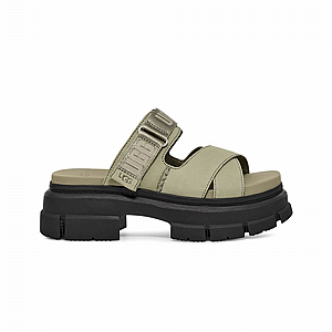 UGG SDC Ashton Slide Clover � ����� ���� ����� ����/����