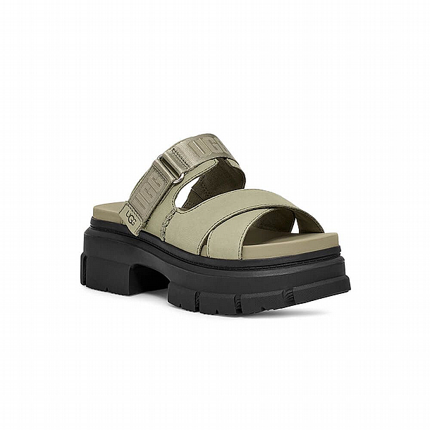 UGG SDC Ashton Slide Clover � ����� ���� ����� ����/����