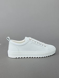 Aldo Moro � ���� ���� ���� Small Logo ����� ���